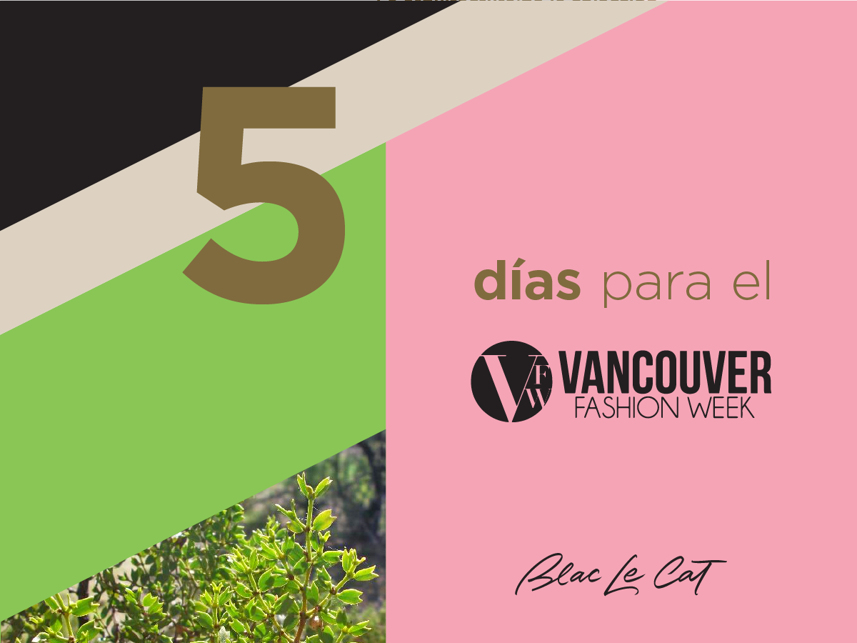 blaclecat's tweet photo. @blaclecat #VanFashionWeek @VanFashionWeek #blcvanfashionweek http://t.co/c7DJCjSBTn