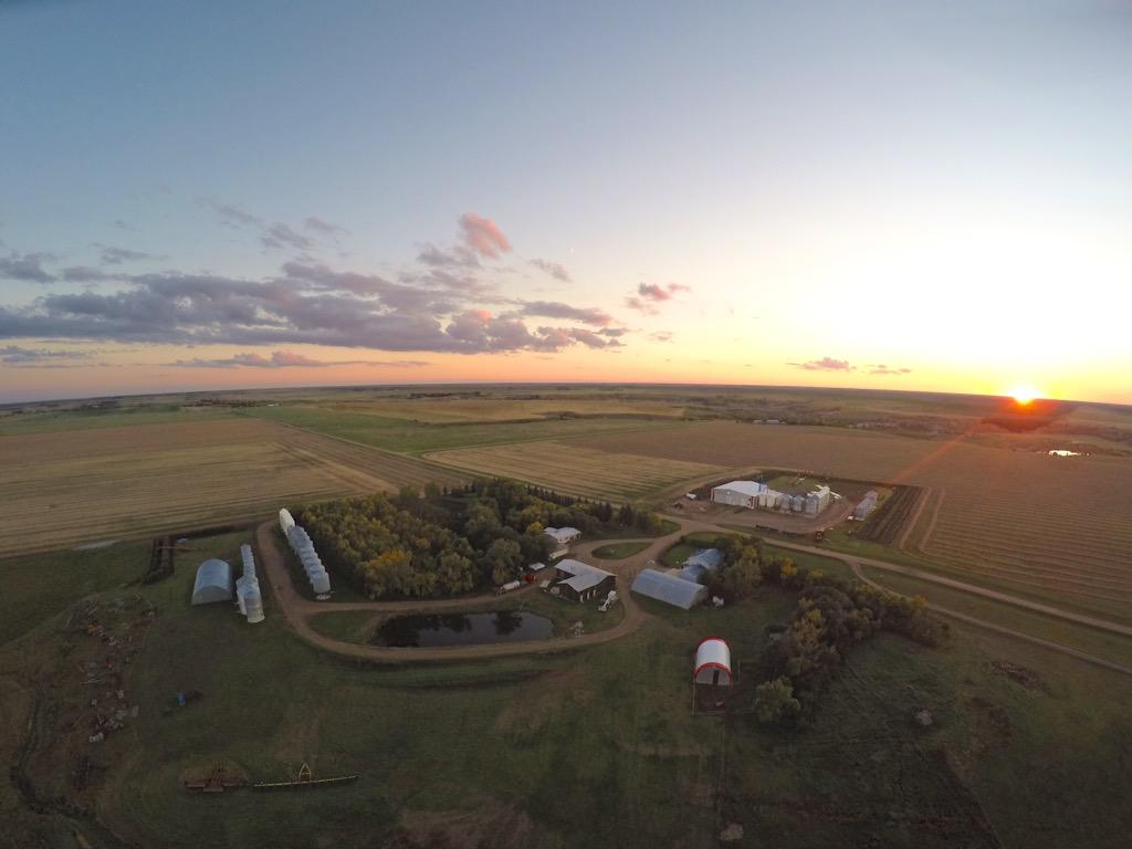 FarmsBeautiful tweet picture