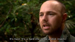 Happy Birthday Karl Pilkington! 