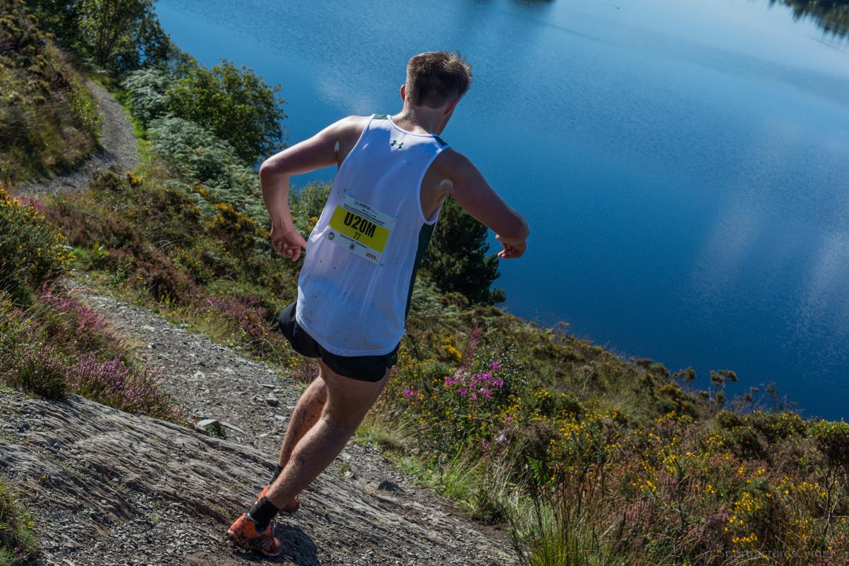 World Mountain 2015 tweet media