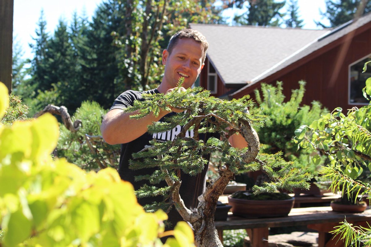 Bonsai Empire On Twitter Ryan Neil Of Bonsai Mirai Today Thanks For Having Me Over Movie Soon On Bonsai Empire S Youtube Channel Bonsai Http T Co R9lsd2qiiv