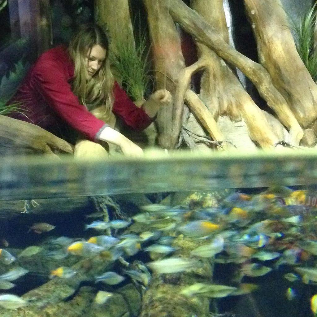 megzzz's tweet photo. Watching @82athena feed Piku the pig-nosed turtle in the #FlyRiver exhibit at @vanaqua! #Pโฆ http://t.co/oCPRA0jTxo http://t.co/HBOKbjOJ8k