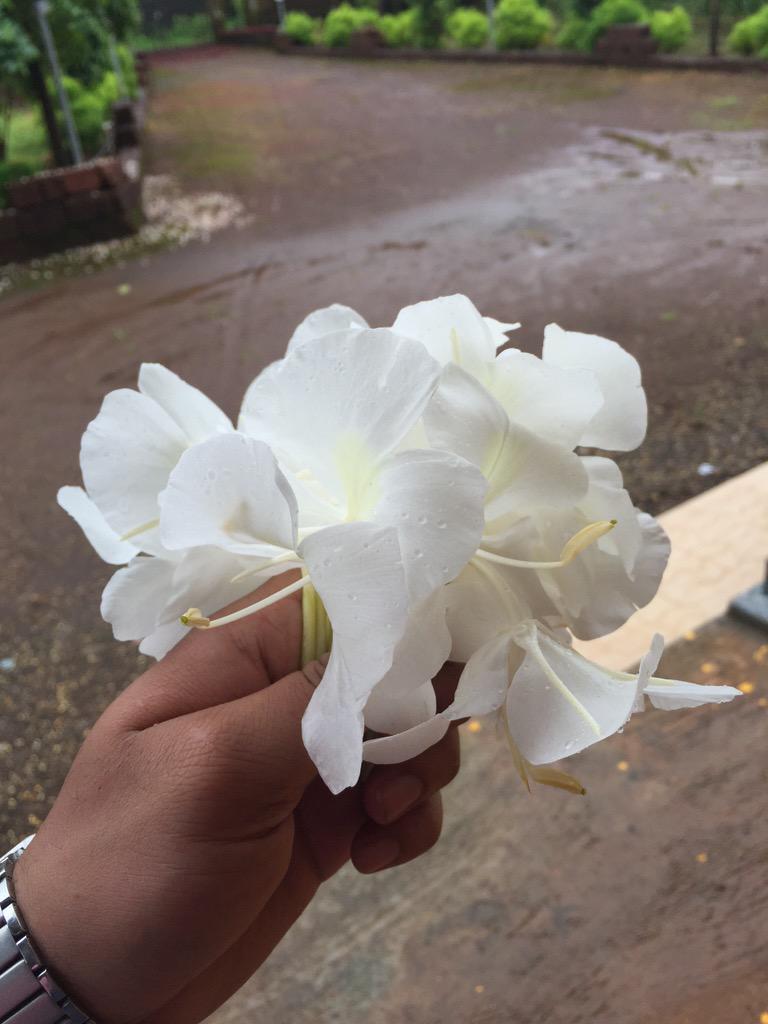 g8084's tweet photo. http://t.co/cpogByp0eK