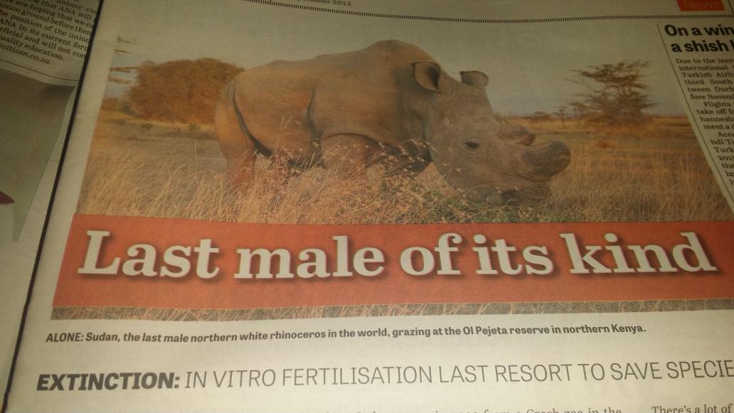 helenzille's tweet image. Let's avoid this in SA. This pic, taken in Sudan, shows THE LAST male Northern White Rhino in the WORLD. #RhinosRock