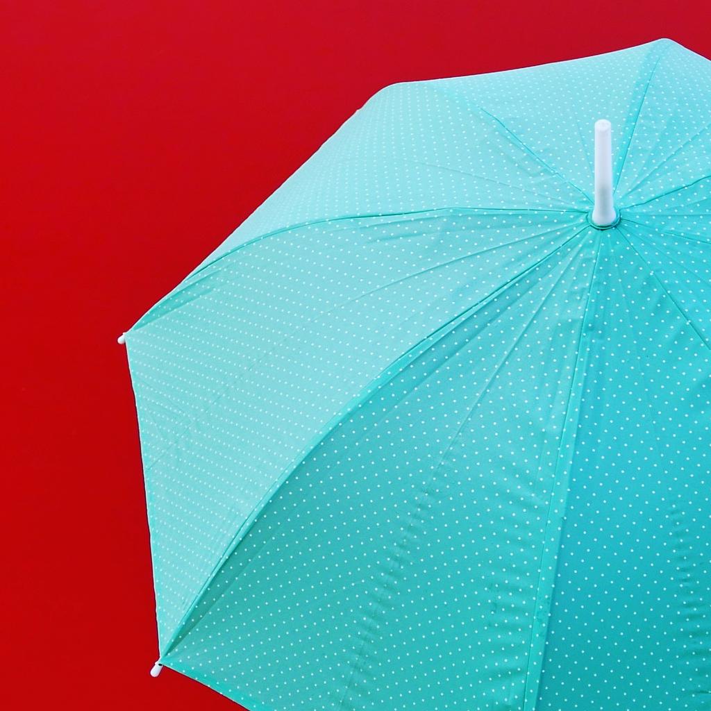 jbrkmr's tweet photo. [#photo] Rouge #photoquai sous la pluie @quaibranly http://t.co/c4wkutpqxI
