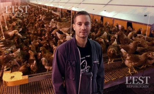 Buzz_Farm tweet picture