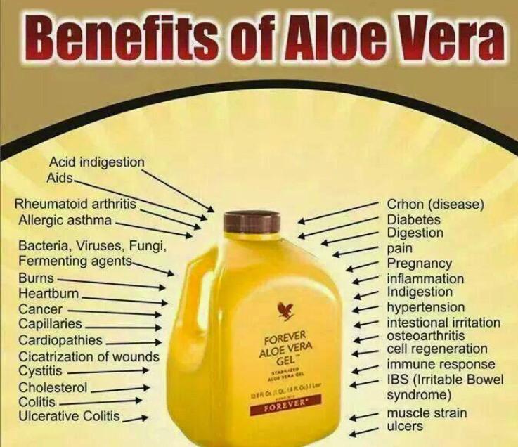 AloeHabitual's tweet photo. This gel really is incredible,after 5 days of drinking I have personally noticed results in how I feel #aloehabitual http://t.co/7heFYKYCr4