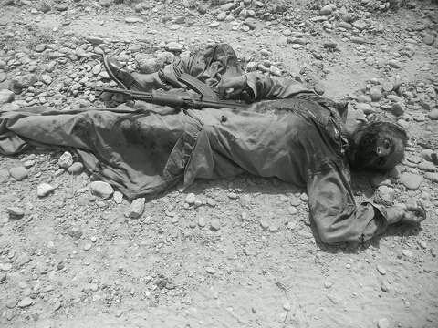 india_Terrorist's tweet photo. #PakistanArmy kills every #terrorists in #OpsZarbeAzab
#zarbeAzab
#Zrbeazb
#modifail #modiinhell #TTP #RAWagent #modi http://t.co/6PVl2YnwHg