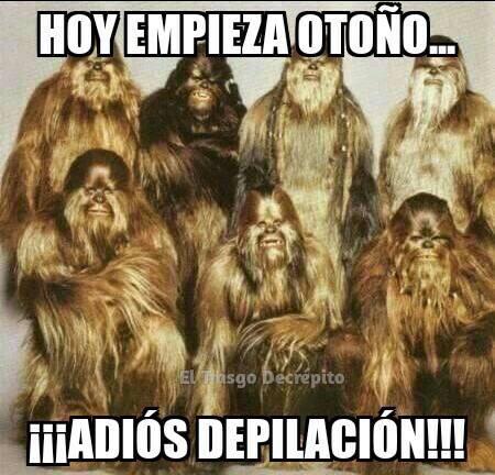 Cabronazi's tweet photo. http://t.co/f16qCv2J58