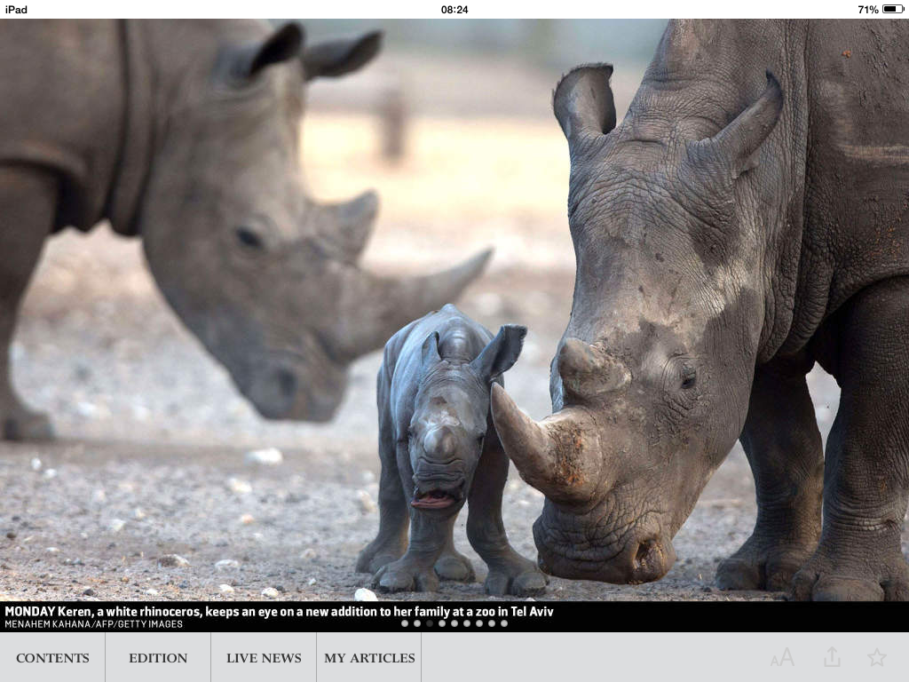 artsfestivals's tweet photo. Here is a picture of a baby rhino to start the day! That’s all! http://t.co/CBdHFbgSws