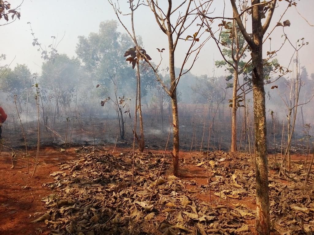 Kebakaran hutan perhutani di  wlyah ds bungursari seluas 3 ha aman terkendali <a href="/DediMulyadi71/">Kang Dedi Mulyadi</a> <a href="/Kaharti_PWK/">kaharti.purwakarta</a> @HumasPWK