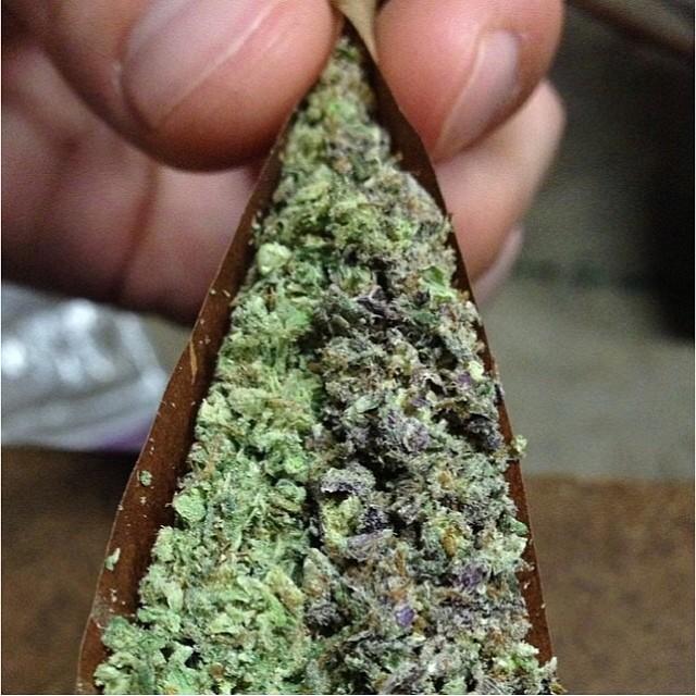 marijuana_feed's tweet photo. http://t.co/5mhzQzBkt3