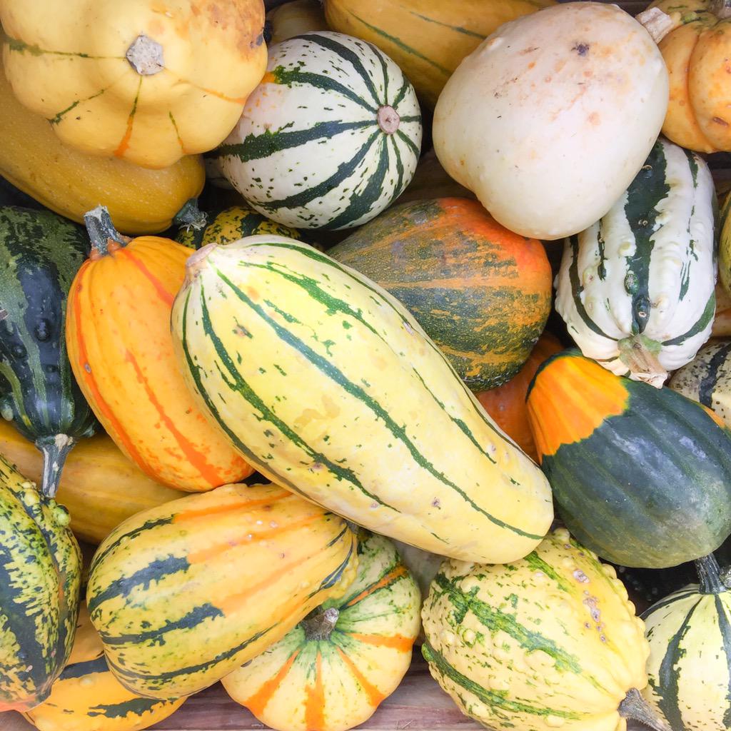 modeandthecity's tweet photo. It's here !!!!! Happy Autumn 🍂🍁🎃 http://t.co/Hw3cC5vsZS