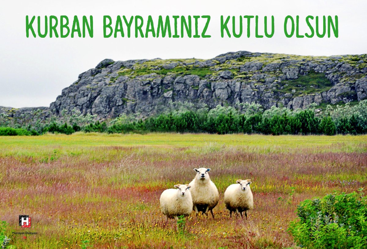 Kurban bayramınız kutlu olsun!