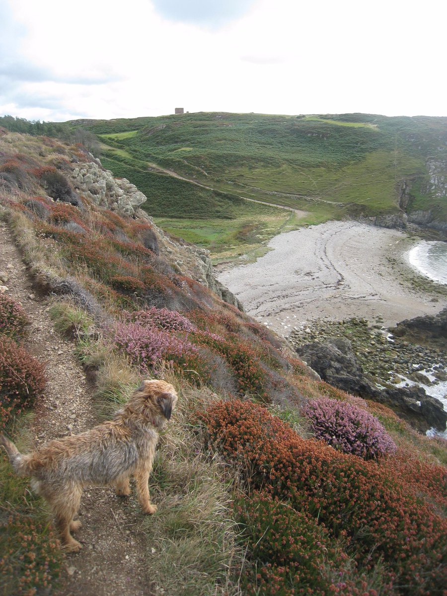 sashamayharding's tweet photo. #CarmelHead brings some of the toughest walking yet but also the most amazing views. http://t.co/eoWIh9N5Yg