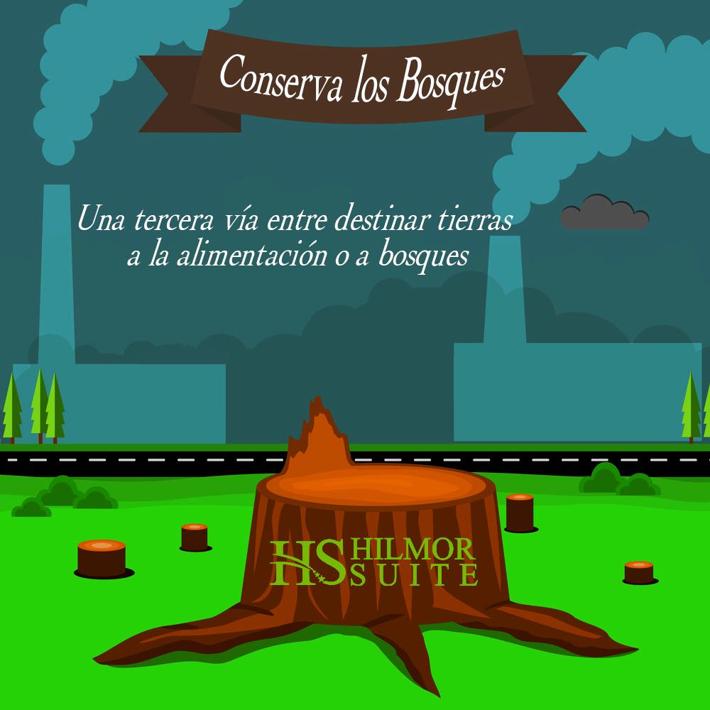 HotelHilmor's tweet photo. La deforestación ha disminuido en los últimos años aunque sigue siendo un problema en las zonas tropicales #NotiVerde http://t.co/FM8HtIdLjV