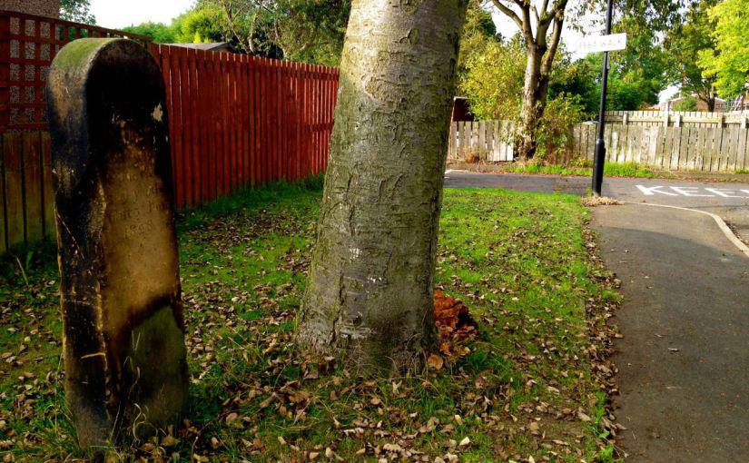 20 Minute wait at South Gosforth Metro? Try this linkedin.com/pulse/more-met… <a href="/My_Metro/">Tyne and Wear Metro</a> <a href="/LesJMiller/">LM</a>