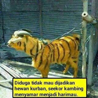 rohmence's tweet photo. Semodus2 apapun klo sdh tiba waktunya hrs ttp dihadapi... http://t.co/o6bvJUbEvK