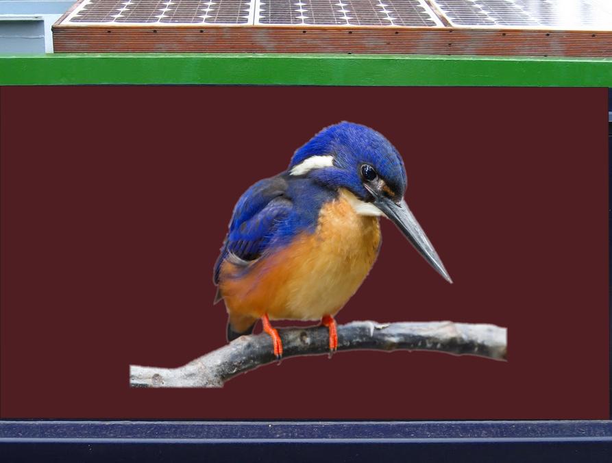 STICKERBUCKET tweet media