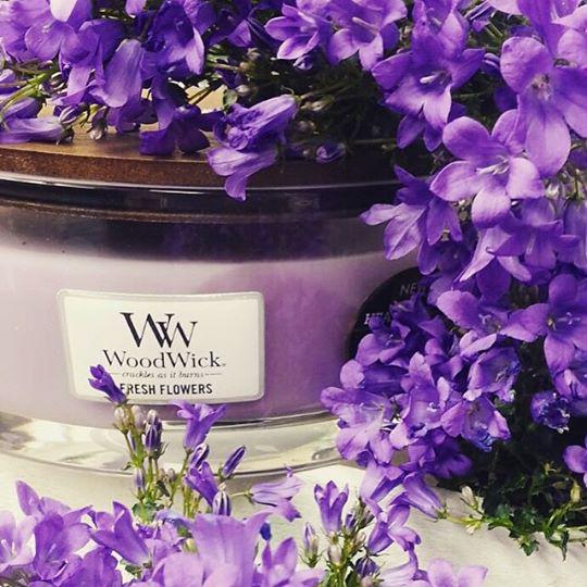 ICDCollections's tweet image. On adore les bougies @WoodWickCandles.Crépitement, cire soja,forme élégante... bit.ly/1JoYb2A