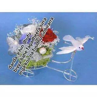 ababh58's tweet photo. http://t.co/SsRMdPz9jg