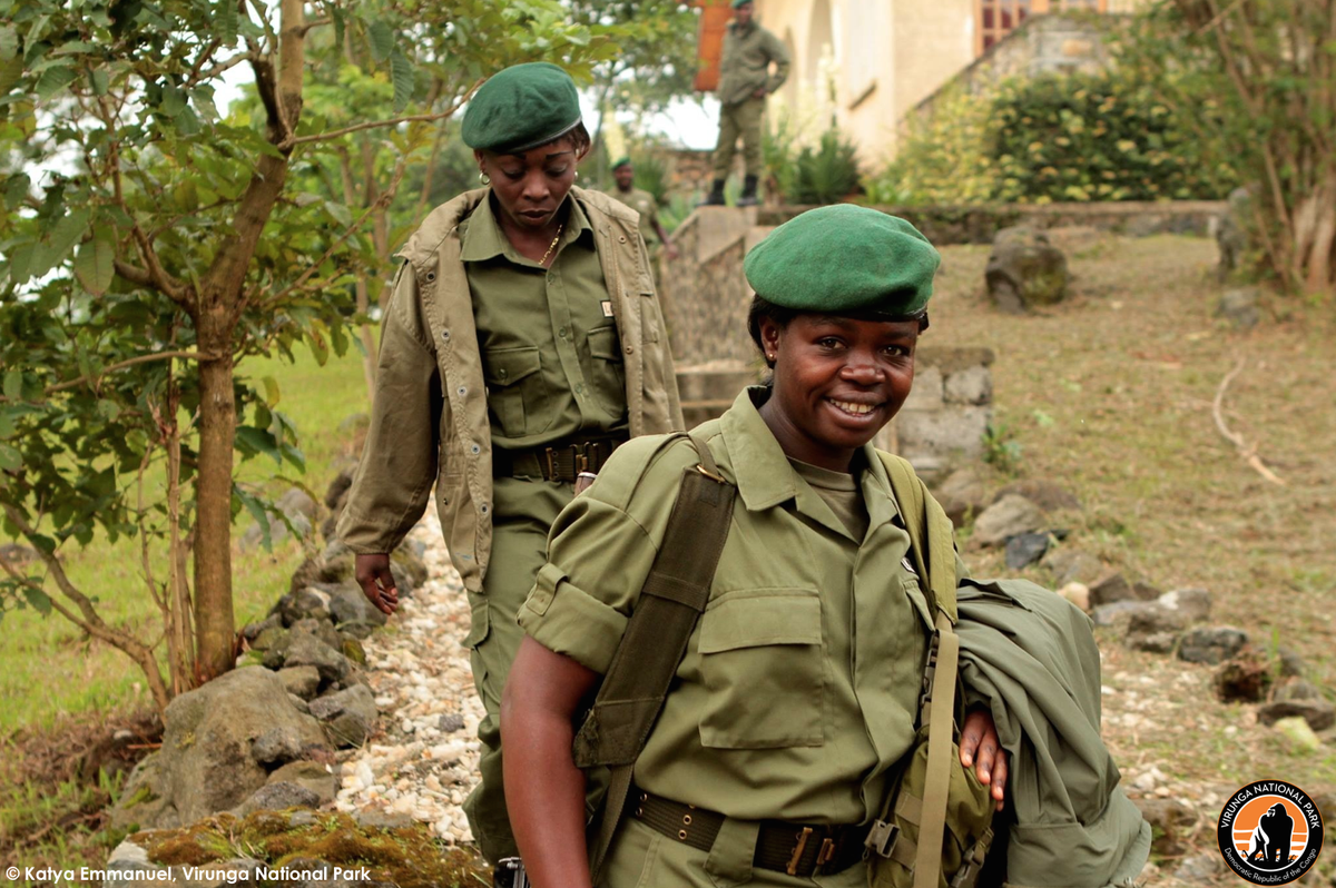gorillacd's tweet image. Peace-building lies at the heart of our #conservation work here in #Virunga. Discover how at virunga.org/virunga-allian…
