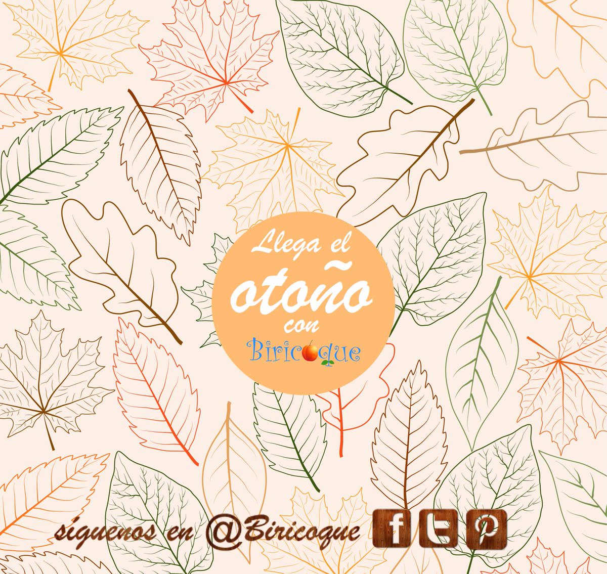 Biricoque tweet media