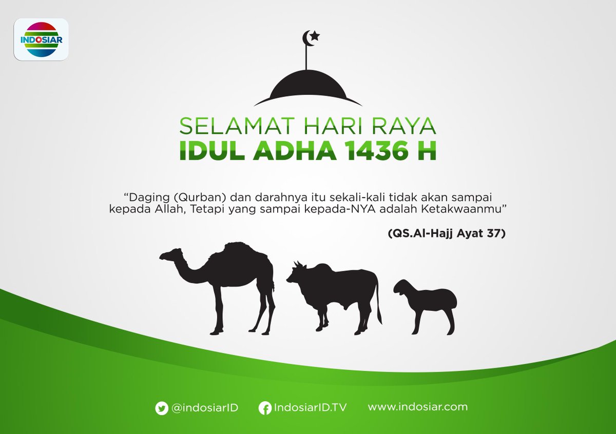aksi junior tweet media