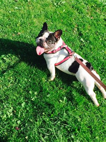 Mrs_V_'s tweet image. Morning all :)