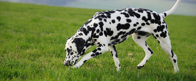 IdealMedia_'s tweet image. How to Find and Target High-Value Keywords for Your Business - bit.ly/1KeLOx1 @HubSpot #keyword #highvalued