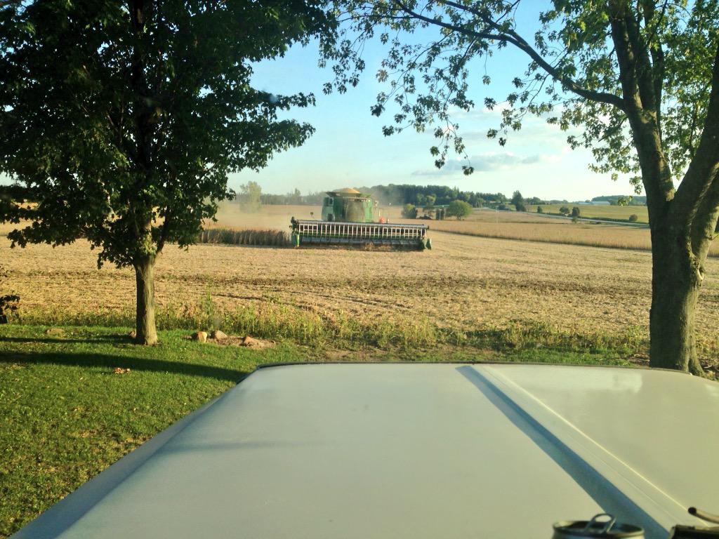 DanAlyea's tweet photo. #Soybean #harvest15 well underway, so that means it's a great time to ship out the #wheat15... #farm365 #fromthefield http://t.co/6zVsjJKdUs