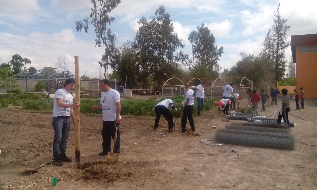 mwarlies's tweet photo. Manos a la obra !!! #YoSiembroFuturo @sembrafuturo http://t.co/Qs0R63vVv9