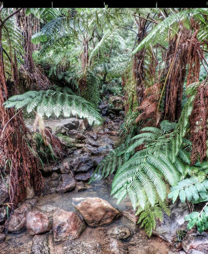 davidjcc_Zgz's tweet image. Me gusta! #coolworld_hdr #balkan_hdr #crazycool_hdr #yes_hdr #shotsbyyou_hdr by paulo.marq… ift.tt/1QxVRvs