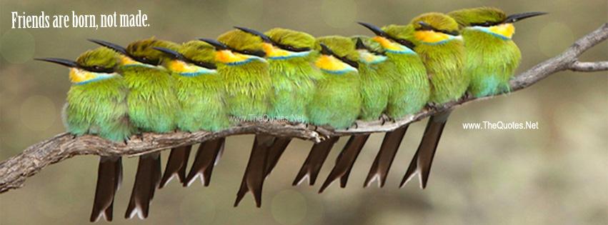 mannlegal's tweet photo. Friends are born, not made.-Henry Adams
https://t.co/ZI457Z3utA
https://t.co/RiVIZGMd9c
#friendship