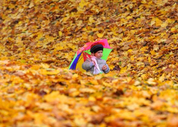 Why is autumn the only season with two names? Explained. slate.com/blogs/browbeat… #TeamFall