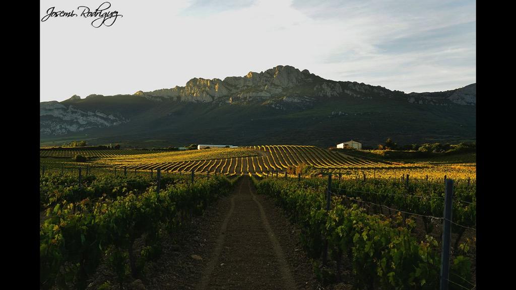 Un espectáculo mi tierra!!!