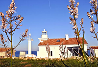 cool_luxury's tweet photo. #Beach front lighthouse: stay in a private #lighthouse, shuttle to private #island https://t.co/5ZtMqVPKWQ #luxury http://t.co/SO7Ehf7VXW