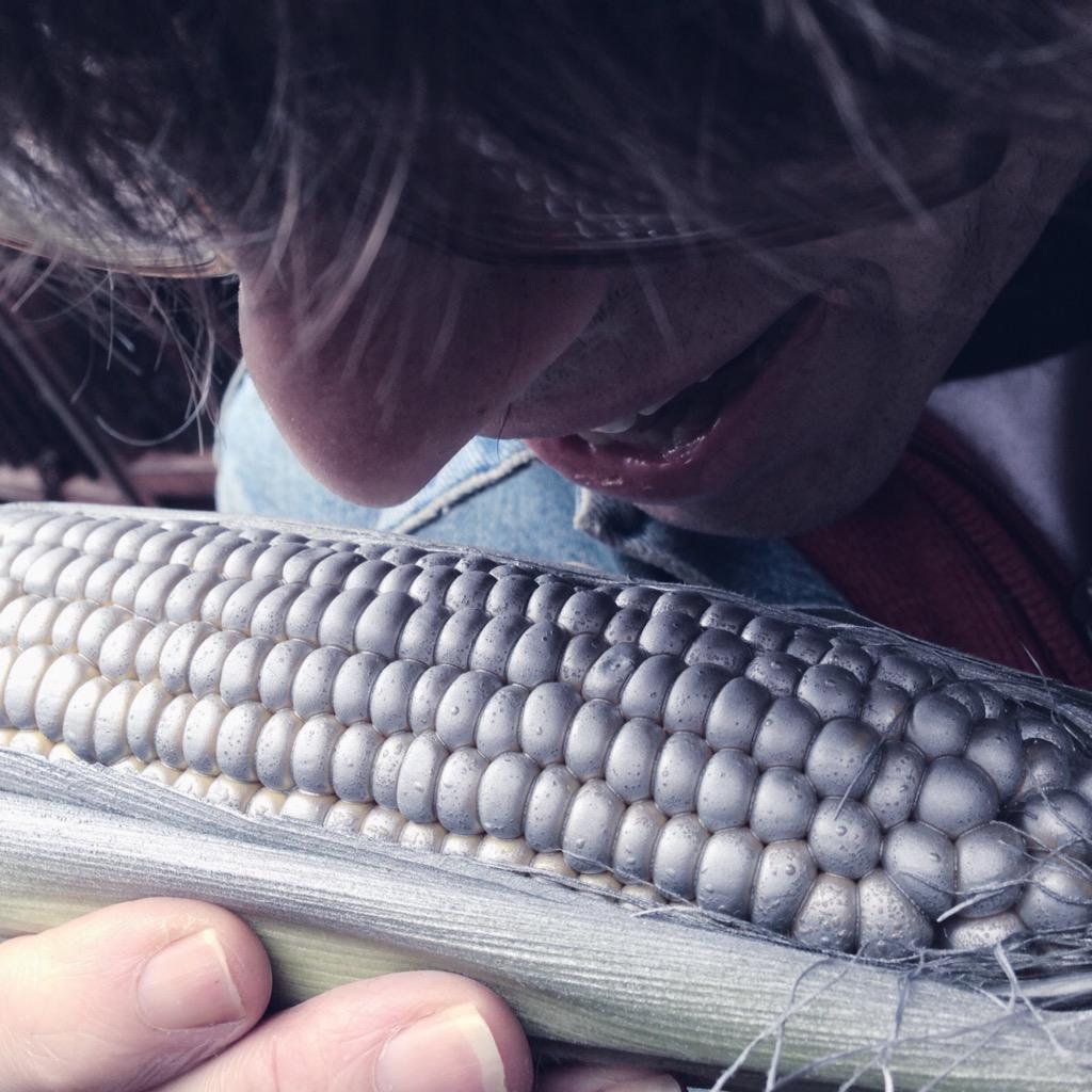 Sahara Studio tweet media