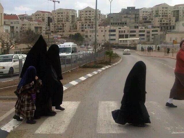 AdnanKhojah's tweet image. Jewish woman in niqab &amp;amp; hijab
Why don't solders shoot them?
Because they are not Palestinian.
#Hadeel
#هديل_الهشلمون