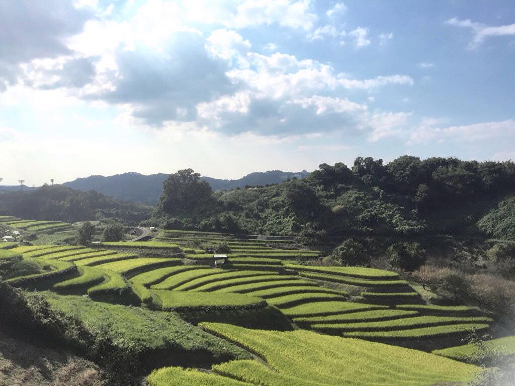 osoujiya tweet picture