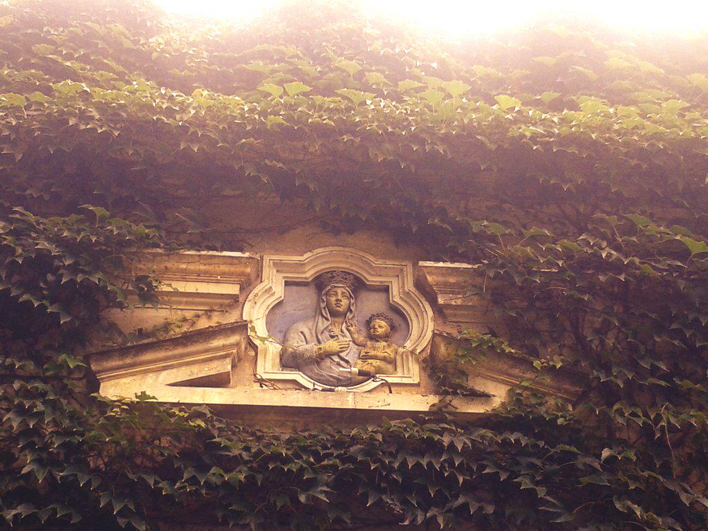 gingit_mk's tweet image. Last #weekendsunshine