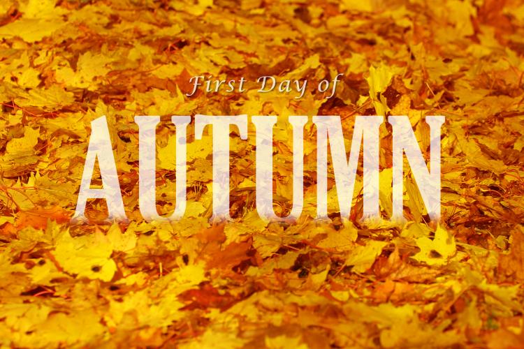 STGroupCa's tweet photo. HAPPY FIRST DAY OF FALL! http://t.co/lSsc5pfNP8