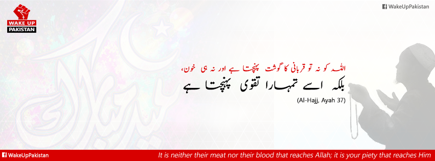 Wake Up Pakistan tweet media