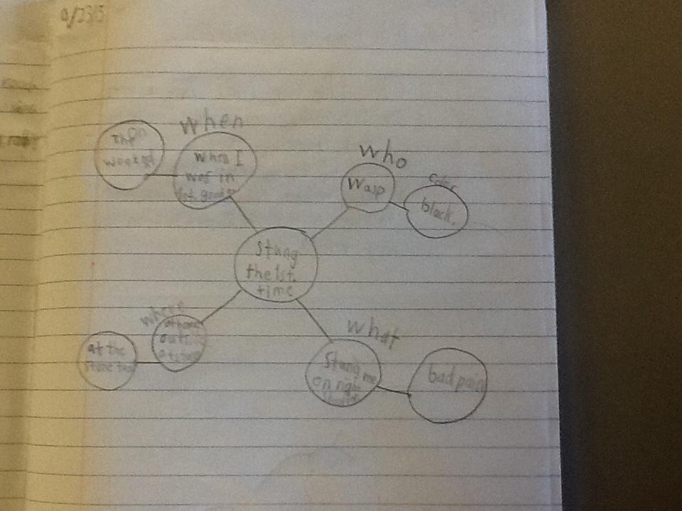 Third grade writing web