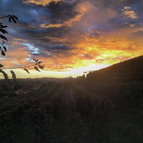 CascinaCaRossa's tweet photo. The end of the day at #CaRossa
Amazing #sunset in #Roero
#piemonteispiemonte
@WinesofRoero @Wine_Pass @TuLangheRoero http://t.co/1vkUeiP6jn