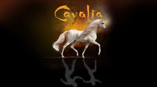 StVitalCentre's tweet photo. Want to win 4 tickets to Cavalia on Oct.16? Just tell me what your favourite animal is! Use #SVCWIW in your reply! http://t.co/WoyflQXtzP
