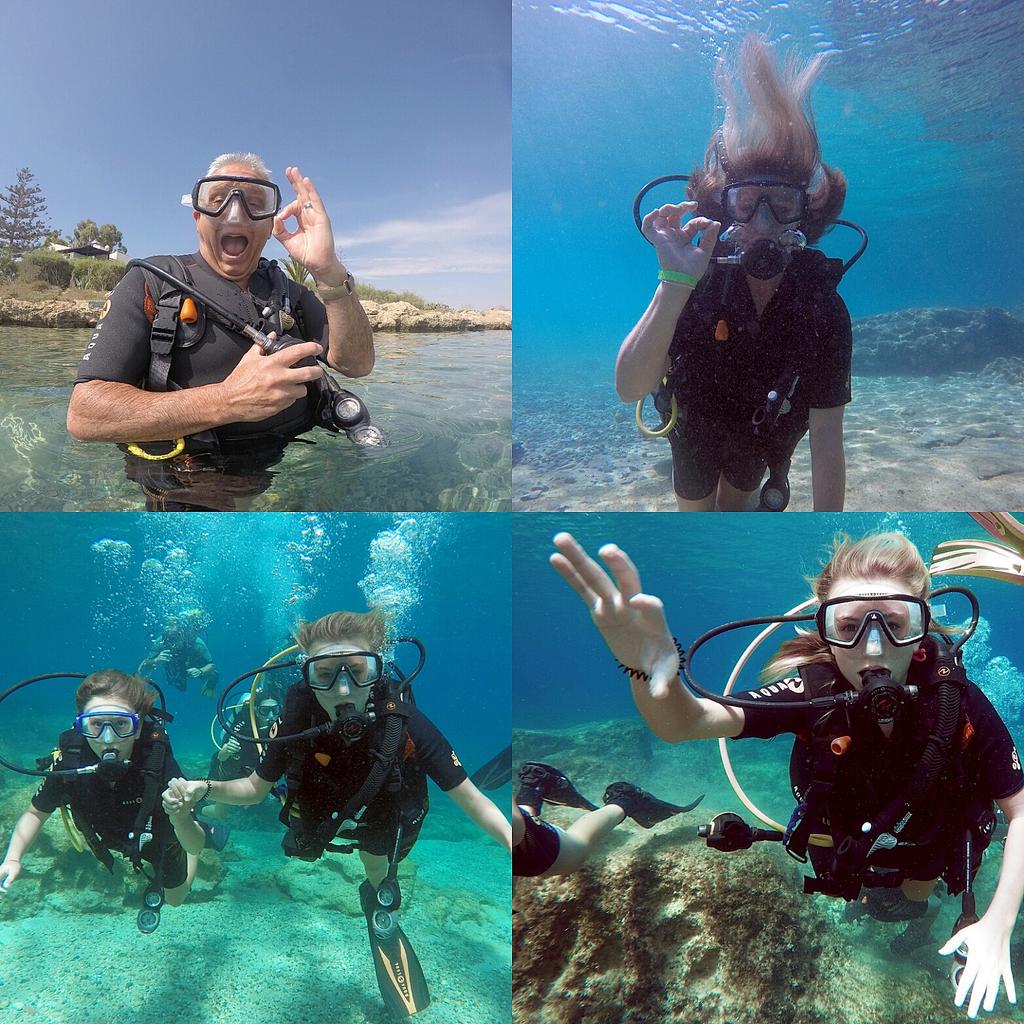 Scuba Monkey tweet media