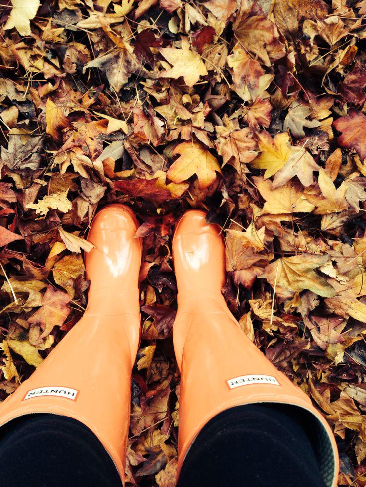 Get your booties ready because Fall is here!! #fall #autumn #leaves #hunters #montreal #montrealhotels #hotels #charm