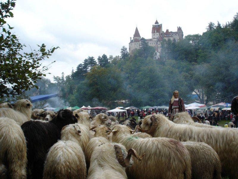 TransylvaniaTU's tweet photo. Upcoming event this weekend in #Bran : #RavasitulOilor
https://t.co/uVhkhOxAEA http://t.co/bYnyH9VXJu