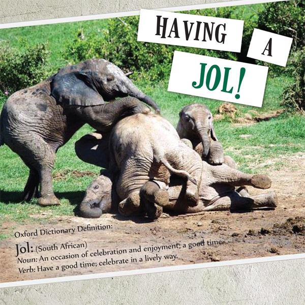 What Better Way to Celebrate Heritage Day! awesomesa.co.za/?newsletter-it… #HeritageDay